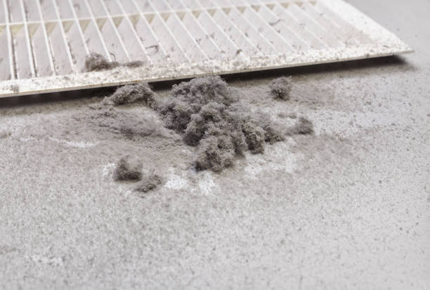 Best Dryer Vent Cleaning Services  in Vandalia, MO