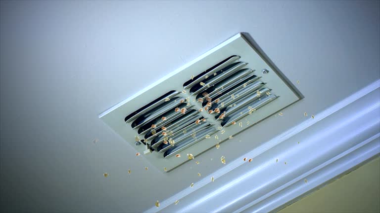 Best Professional Duct Cleaning Services  in Vandalia, MO