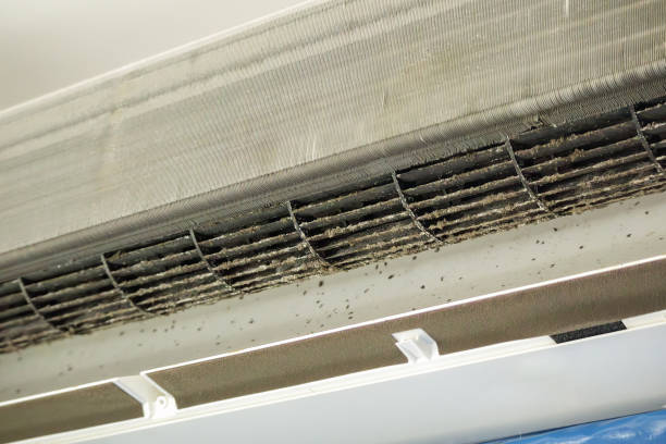 Best Dryer Vent Cleaning Services  in Vandalia, MO
